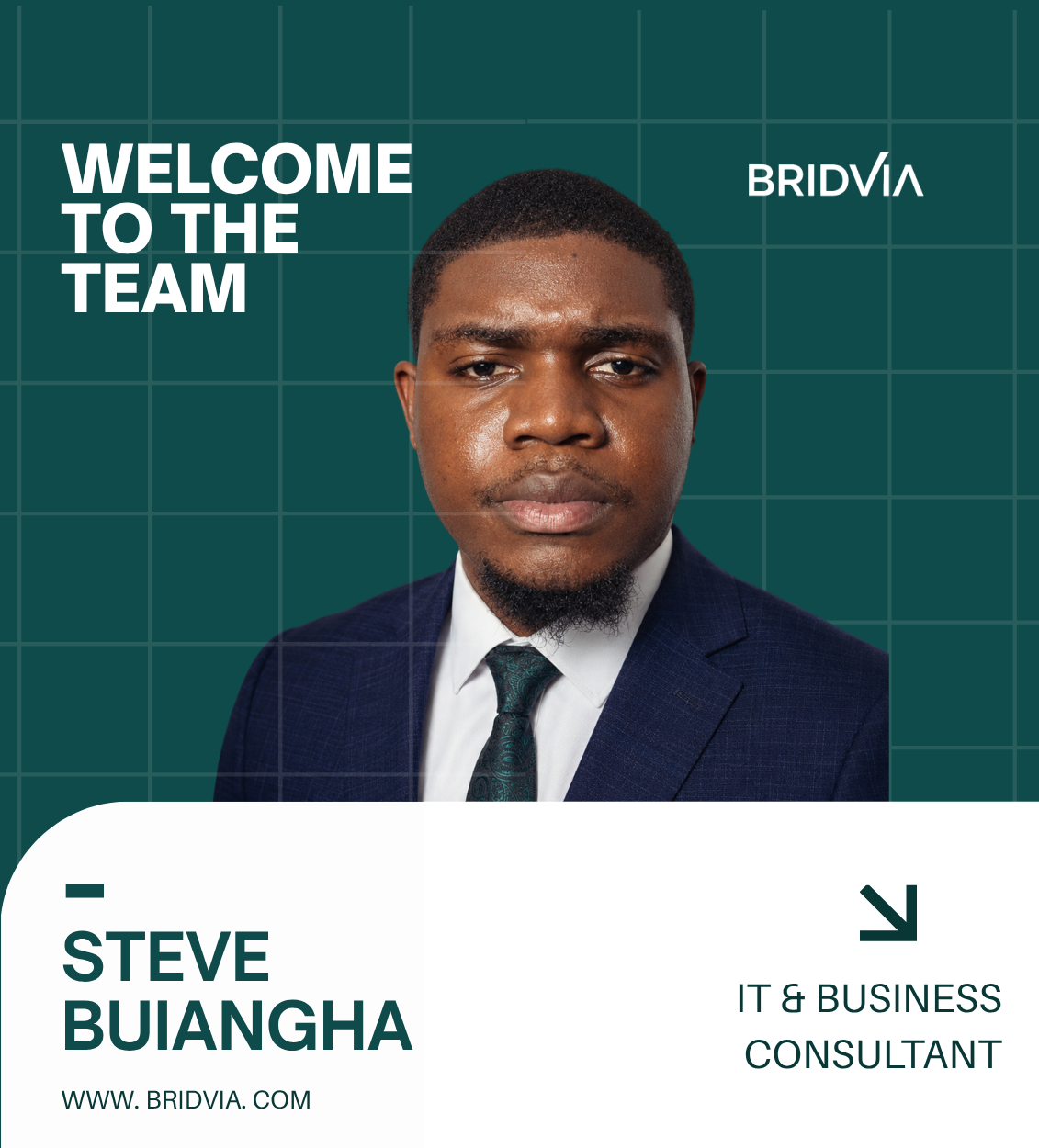 BRIDVIA IT and business consultant - Steve Buiangha